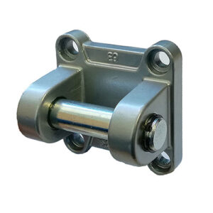 Παρελκόμενα εμβόλων